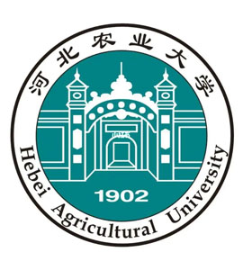 合肥河北农业大学